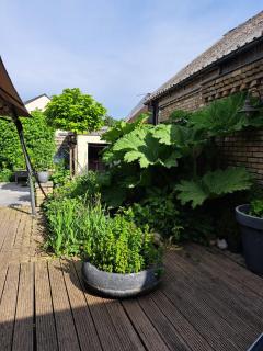 Landbæne - Lommel - 2