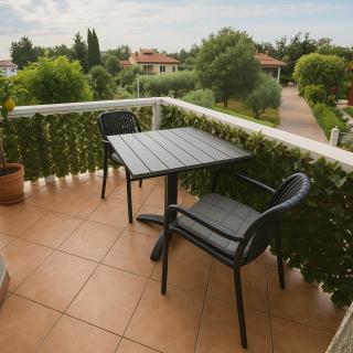 Apartment Tezak - Kukci - 8