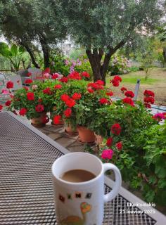 4 Seasons Suites Paradise Near Athens Airport - Markopoulo - 3