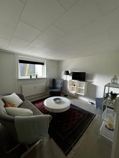 Cozy basement apartment - Odense - 0