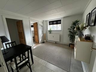 Cozy basement apartment - Odense - 9