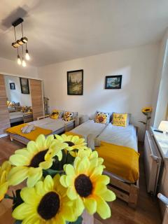 Słonecznikowy Loft Parter - Danzig - 0