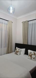 Euro Luxe Apartments - Arusha - 7