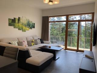 Lipno Port Apartment A303 - Lipno Home - Lipno nad Vltavou - 0