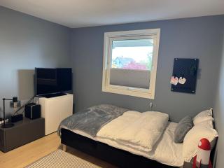 Renovated family home with jacuzzi - Sandnes - 4