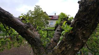 Rent0nline Brwinow Rooms - 1