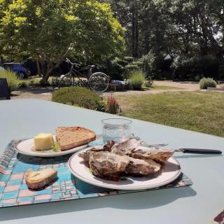 Entre terre et mer, guest house dans joli jardin - Combrit - 2