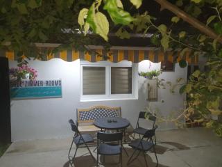 Racina Apartmani - Plav - 9