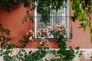 Il Casale delle Rose - Paganico - 3
