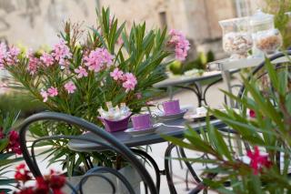 Domaine Plessis Gallu - vacation cottage rental - Azay-le-Rideau - 8