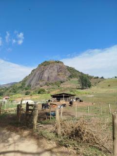 Quarto Pérola simples - 2