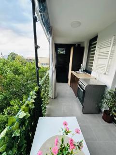 Palm Breeze Studio - 6
