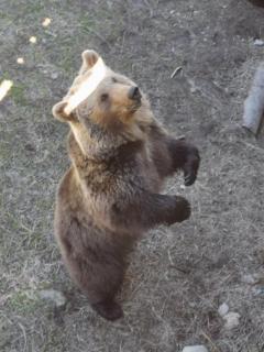L'espadon du port, air conditioning, terrace, sea, 5 people - 0