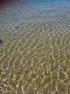 Le barracuda du port - 0