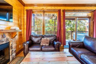Serene Cabin w Grill Hot Tub & Resort Pool - Pigeon Forge - 3