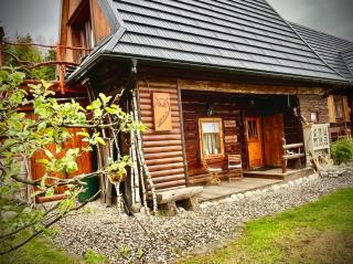 DZIUPLA - Tatra Rustic Log Cabin - Brzegi - 8