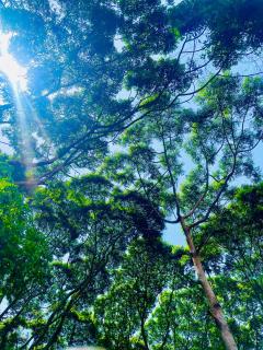 BirdTrail Haven - Entebbe - 1