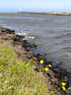 Apartamento no Centro com ótima localização - 4