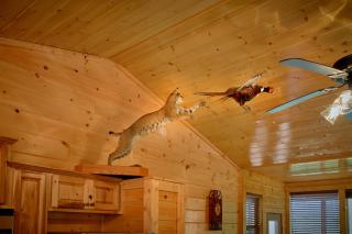 Love Me True Holiday home - Gatlinburg - 1