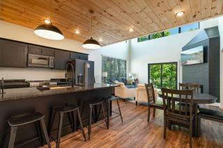 Perfect Base for Dollywood escape w Hot Tub - 1