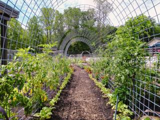 Creekside Yurt - The Whisperer - Balsam Grove - 5