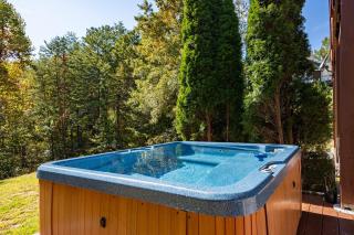 Cabin Haven Theater Game room Hot Tub Yard - 7