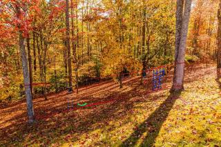 Ultimate Smoky Escape W Fun Games Hot tub & more - 5