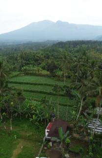 Dopi Rinjani Homestay - Tetebatu - 8