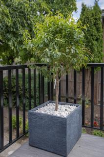 Vancouver Cozy Cove - 6