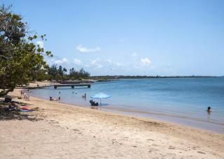 New ! Beachfront Villa - Golf, Pool & Ocean View - Dorado - 5