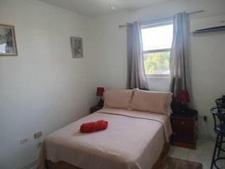 Alleyne Apartments - Bridgetown - 9