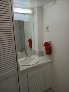 Alleyne Apartments - Bridgetown - 6