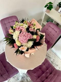 Mor Maison Skopje City-Center FEW FREE PRIVATE PARKING - 1