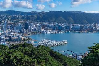 Upoko house - Wellington - 0