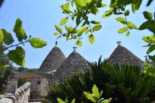 La Rosa dei Trulli B&B - 1
