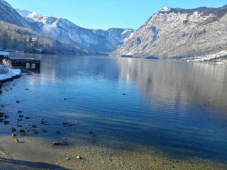 Mountain view in Bohinj - 8