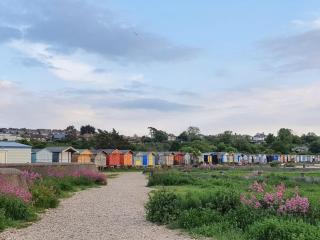 Wellspring Cottage - Whitstable - 2