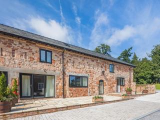 Bridle - Uk47944 - Oswestry - 0