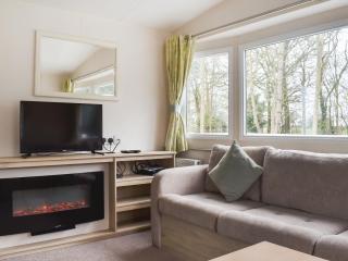 Forest Retreat - Saxmundham - 8