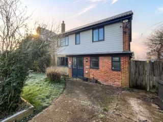 Flamingo - Whitstable - 0