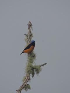 Sierra de viboral adventures - 5