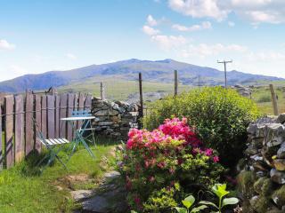 Edward Terrace Cottage - 5