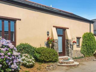 Frankaborough Cottage - Uk48326 - Lifton - 0