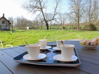Gîte lumineux avec jardin, près de Vichy, 2 chambres, équipements modernes, draps inclus - FR-1-489-281 - Trézelles - 5
