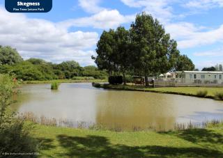 Pine Trees Leisure Park - Pet Friendly - - 8