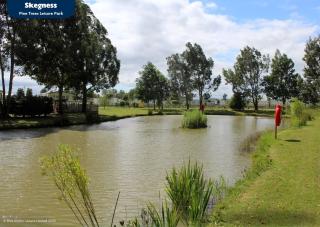 Pine Trees Leisure Park - Pet Friendly - - 7