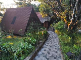 Mandalas Ecolodge Ecotourismo Altos Cerro Azul, Rain Forest Natural,Chagres National Park - 9