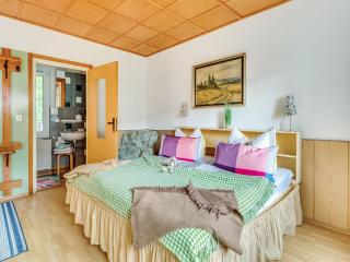 Flat in Ilsenburger Harz near the ski area, cleaning included - Ilsenburg - 6