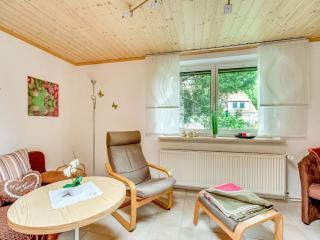 Flat in Ilsenburger Harz near the ski area, cleaning included - Ilsenburg - 3
