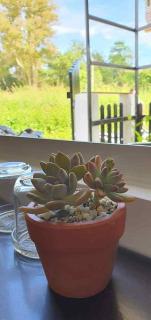 AHK Hospita - Homestay - Phu Quoc - 5
